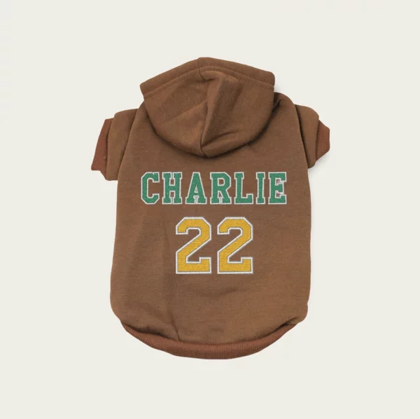 Embroidered Sports Hoodie